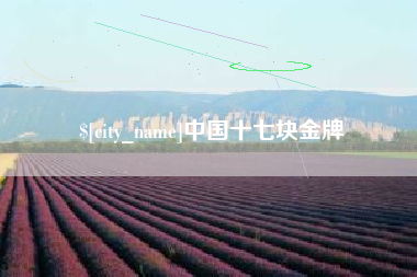 宁夏中国十七块金牌