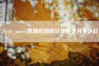 宁夏我国的消防日是多少月多少日