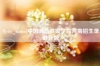宁夏中国消防救援学院河南招生录取分数