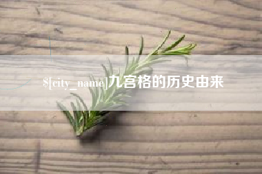 宁夏九宫格的历史由来