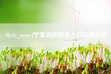 宁夏宁夏消防报名入口官网公告