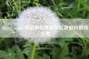 宁夏中国消防救援学院录取分数线公布