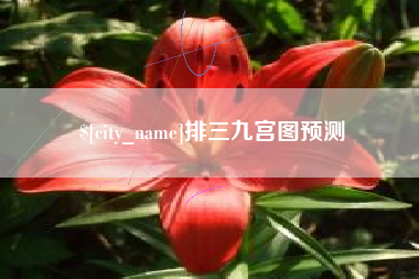 宁夏排三九宫图预测