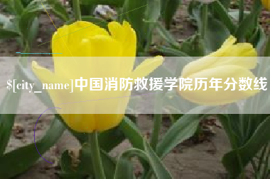 宁夏中国消防救援学院历年分数线