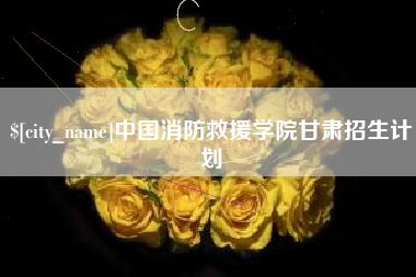 宁夏中国消防救援学院甘肃招生计划