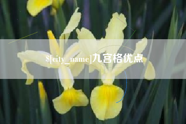 宁夏九宫格优点