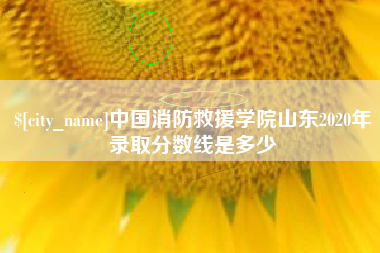 宁夏中国消防救援学院山东2020年录取分数线是多少