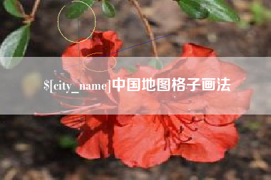 宁夏中国地图格子画法