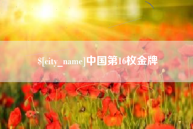 宁夏中国第16枚金牌
