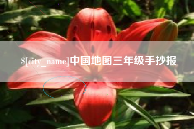 宁夏中国地图三年级手抄报