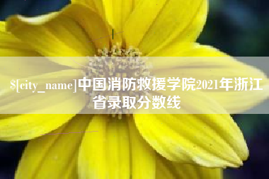 宁夏中国消防救援学院2021年浙江省录取分数线