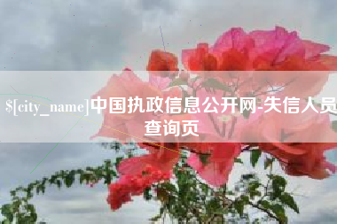 宁夏中国执政信息公开网-失信人员查询页