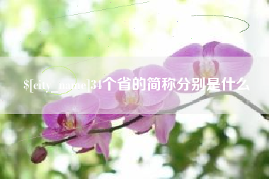 宁夏34个省的简称分别是什么