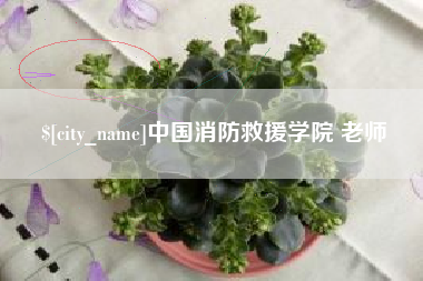 宁夏中国消防救援学院 老师