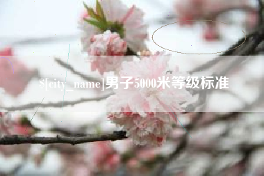 宁夏男子5000米等级标准