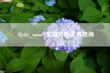 宁夏全国消防证书查询