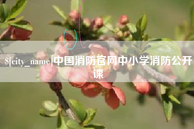 宁夏中国消防官网中小学消防公开课