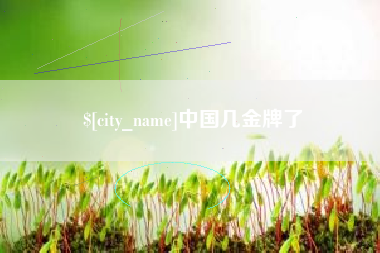 宁夏中国几金牌了