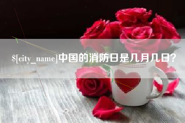 宁夏中国的消防日是几月几日？