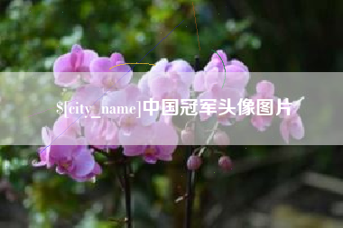 宁夏中国冠军头像图片
