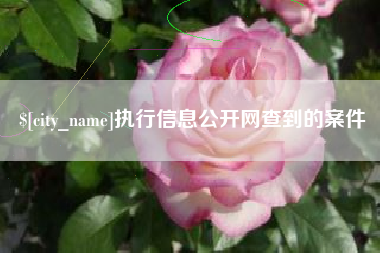 宁夏执行信息公开网查到的案件