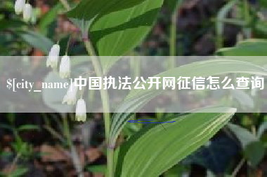 宁夏中国执法公开网征信怎么查询