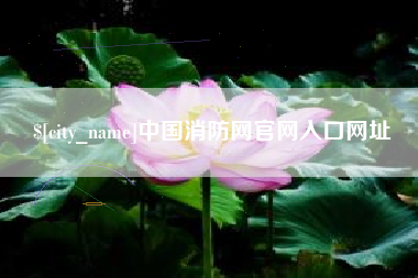 宁夏中国消防网官网入口网址