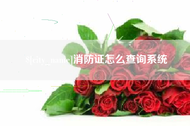 宁夏消防证怎么查询系统