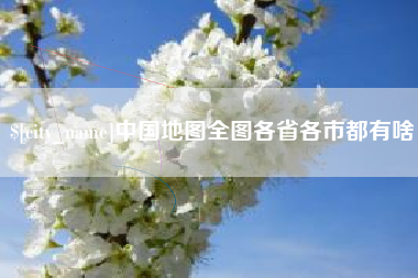 宁夏中国地图全图各省各市都有啥