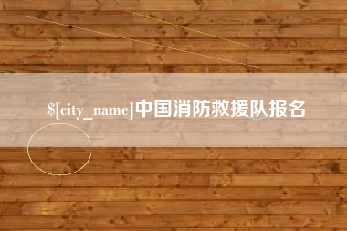 宁夏中国消防救援队报名