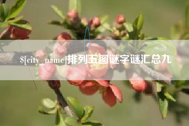 宁夏排列五图谜字谜汇总九