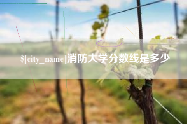 宁夏消防大学分数线是多少
