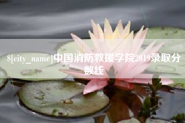 宁夏中国消防救援学院2019录取分数线