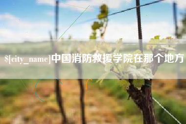 宁夏中国消防救援学院在那个地方