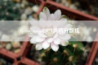 宁夏2021消防分数线