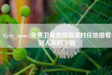 宁夏免费卫星地图高清村庄地图看到人实时下载
