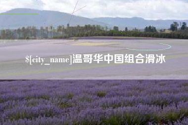 宁夏温哥华中国组合滑冰