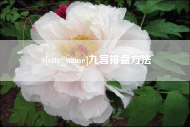 宁夏九宫排盘方法