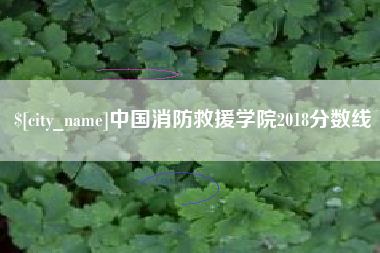宁夏中国消防救援学院2018分数线