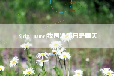 宁夏我国消防日是哪天