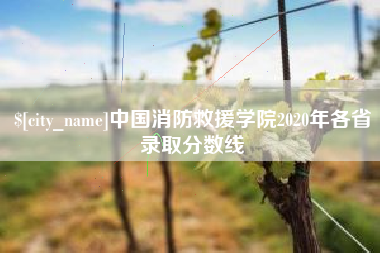 宁夏中国消防救援学院2020年各省录取分数线