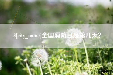 宁夏全国消防日是第几天？