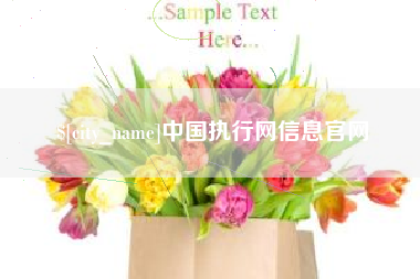 宁夏中国执行网信息官网