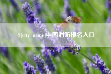 宁夏中国消防报名入口