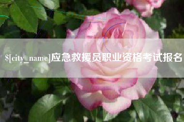 宁夏应急救援员职业资格考试报名