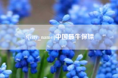 宁夏中国最牛保镖