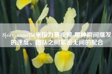 宁夏50米接力赛视频-那种瞬间爆发的速度、团队之间紧密无间的配合