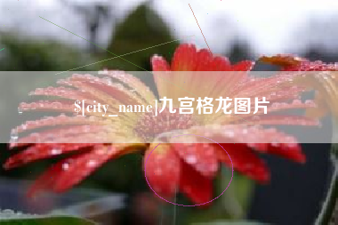 宁夏九宫格龙图片