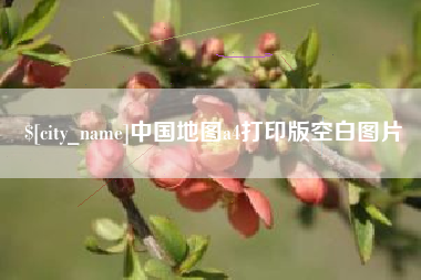 宁夏中国地图a4打印版空白图片