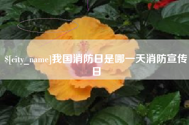 宁夏我国消防日是哪一天消防宣传日